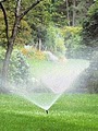 AZ Sprinkler & Drip repair- Gilbert, Az Sprinkler & Drip repair- Gilbert, Az- image 4