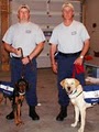 Action Canine Inspection Service image 5