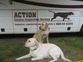 Action Canine Inspection Service logo