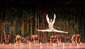 Acton School of Ballet image 2