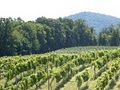 Adams County Winery image 2