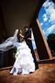 Albany Wedding Photography image 2