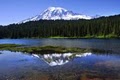 Alexander's Country Inn and Restaurant at Mount Rainier image 5