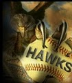 Algonquin Hawks Travel Baseball logo