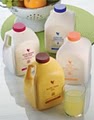 Aloe4us  Forever Living Products logo