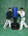 American Black Belt Academy Martial Arts Leavenworth image 2