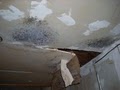 American Specialized Mold Removal & Remediation image 5