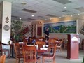 Anatolia Turkish Restaurant image 4