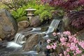Anderson Japanese Gardens image 2