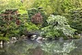 Anderson Japanese Gardens image 3