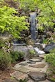Anderson Japanese Gardens image 7