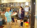 Animal Care Vet Clinic image 2
