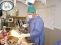 Animal Care Vet Clinic image 3