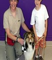 Animalia Dog Daycare and Training image 3