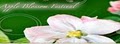 Apple Blossom Festival Association image 4