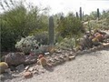 Arizona-Sonora Desert Museum image 2