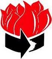 Arrow Fire Protection logo