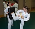 Atlanta Kickboxing / Karate / Jujitsu at TMACenter image 5