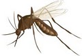 Atlanta Termite, Pest and Wildlife Control - Pest Control Service of Atlanta, GA image 5