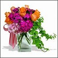 Avante Gardens Florist image 9
