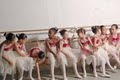Aventura Dance Academy - Vladimir Issaev School of Classical Ballet image 1