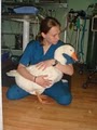 Avian & Exotic Animal Hospital image 2