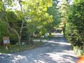 Babbling Brook Cottages image 9