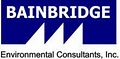 Bainbridge Group image 5
