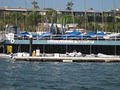 Balboa Yacht Club logo