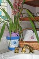 Bamboo Orchid Cottage Bed & Breakfast image 2