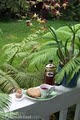 Bamboo Orchid Cottage Bed & Breakfast image 9
