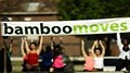 Bamboomoves Yoga, Belly Dance, and Healing Studio image 8