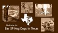 Bar SP Hog Dogs in Texas logo