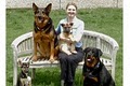 Bark Busters Home Dog Training North Atlanta image 1