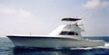 Beagle Charters image 1