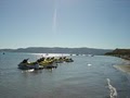 Bear Lake Water Sports image 2