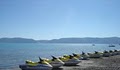 Bear Lake Water Sports image 8