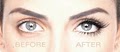 Beautique Lash & Brow image 4