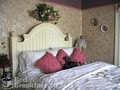 Bed & Breakfast-White Jasmine Inn image 4