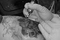 Beneath the Surface Tattoos image 6