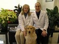 Berkeley Veterinary Center image 3