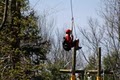 Berkshire East Canopy Tours image 3