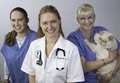 Best Friends Veterinary Hospital image 2