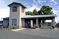 Best Western Alamosa Inn image 4