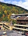 Best Western Crossroads Inn Gatlinburg Hotel image 8