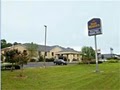 Best Western Eastern Shore image 4