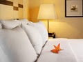 Best Western Plus Marqius Des Moines Airport Hotel image 8