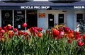 Bicycle Pro Shop image 3