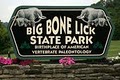Big Bone Lick State Park image 3