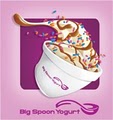 Big Spoon Yogurt image 2
